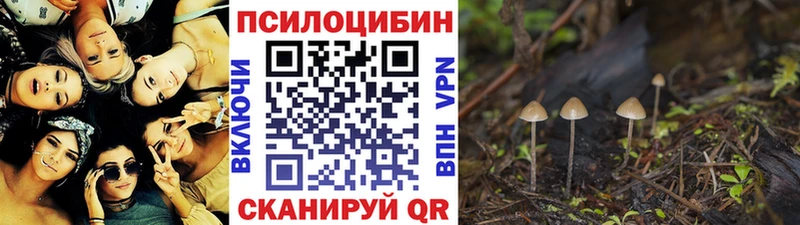 цены наркотик  Мышкин  Псилоцибиновые грибы GOLDEN TEACHER 