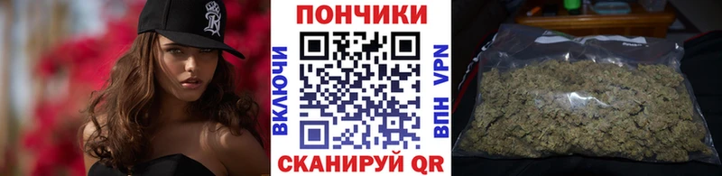 Бошки марихуана ГИДРОПОН  магазин  наркотиков  Мышкин 